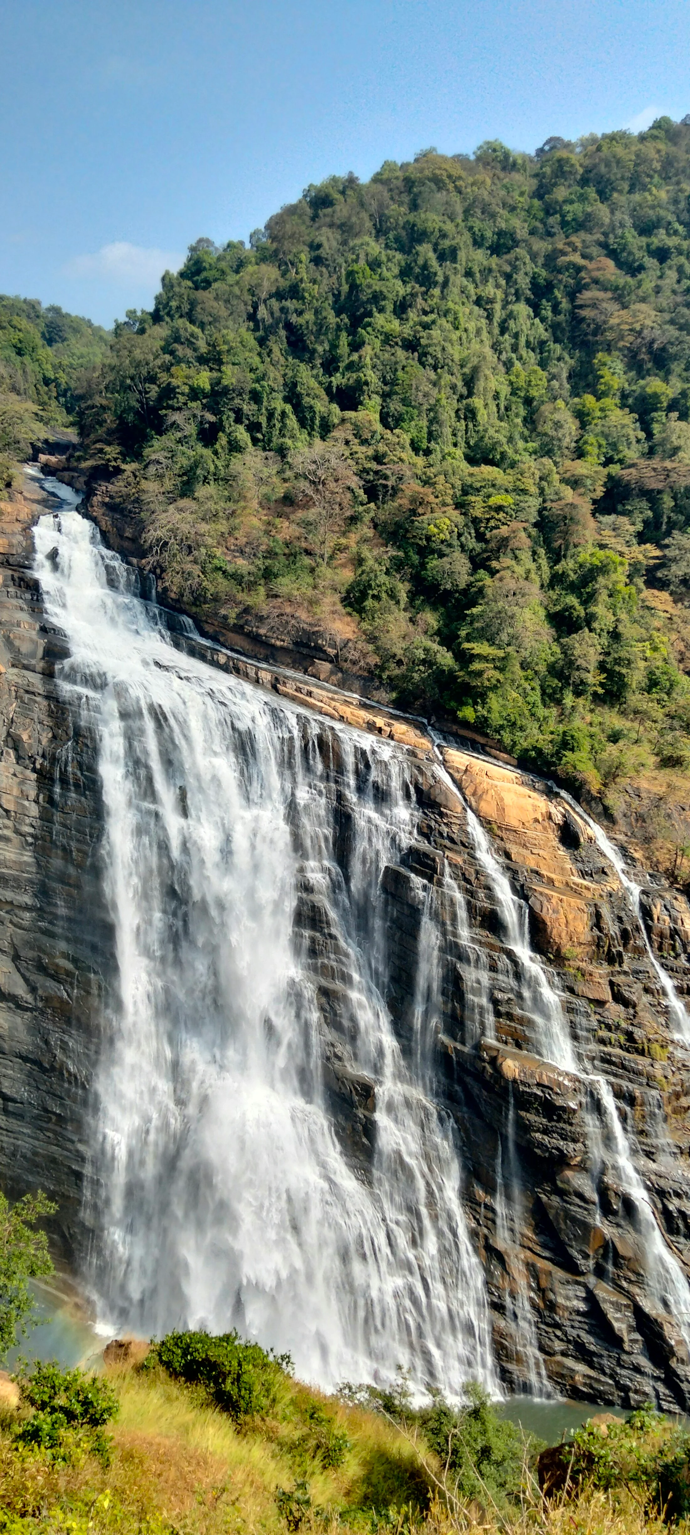 A broad waterfall dropping in white ribbons through thick green forest in the Western Ghats