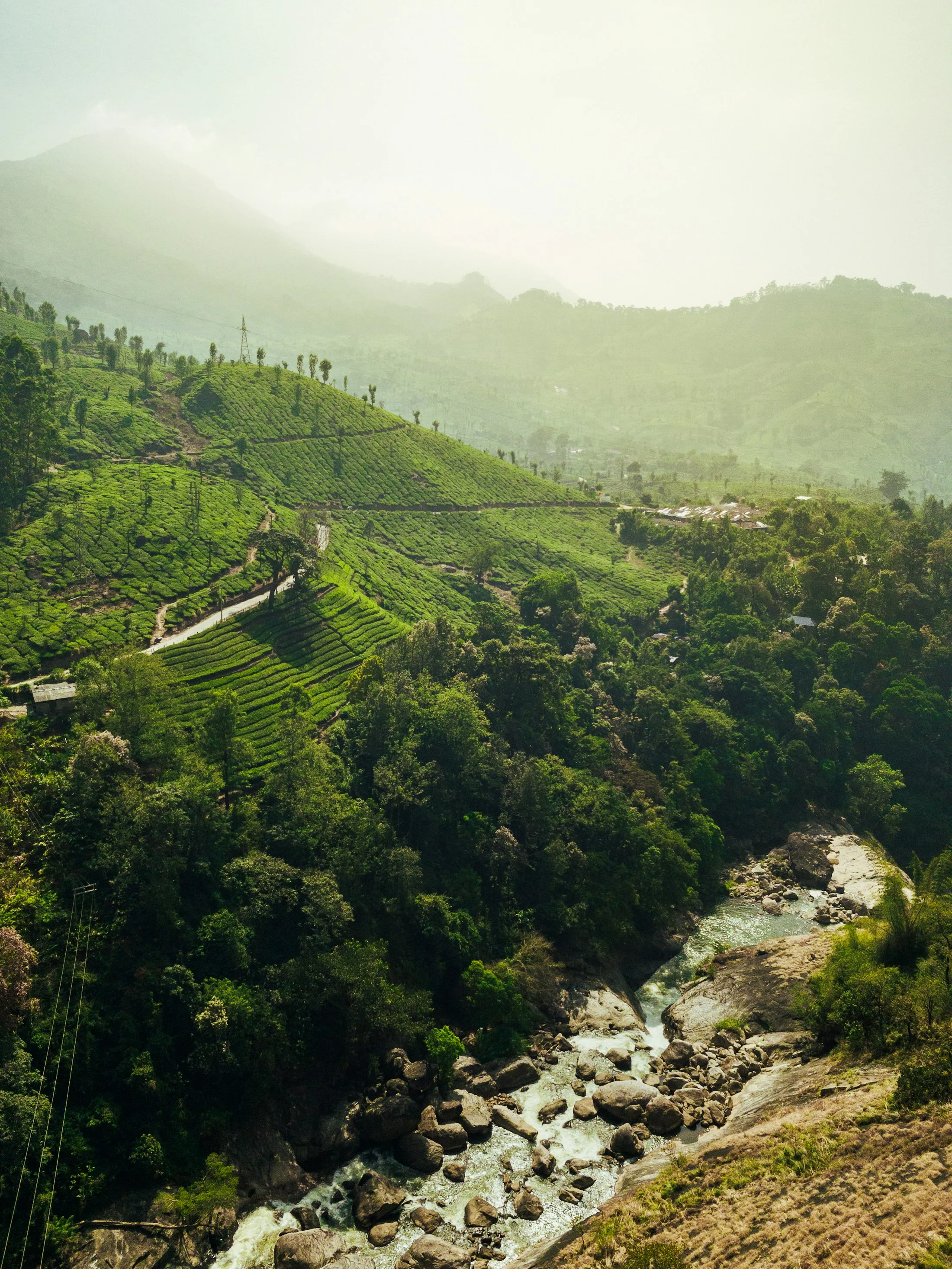 Densely forested mountains in the Wayanad highlands, ridge behind ridge under a clouded sky
