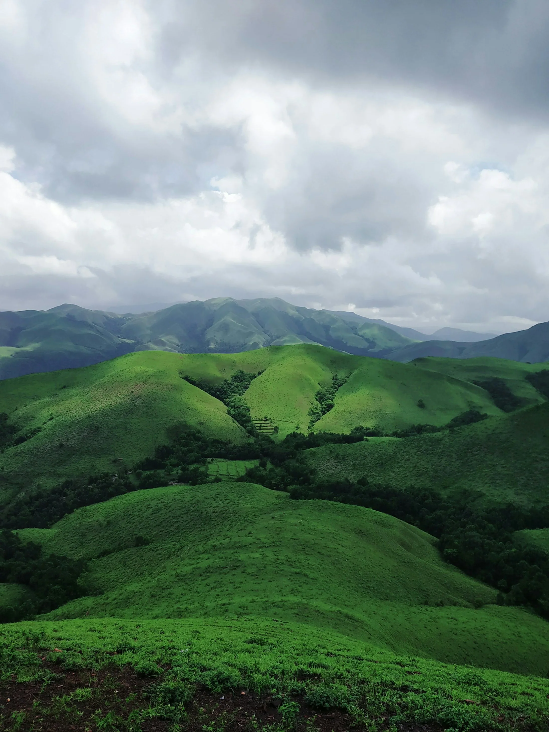 Smooth green hills under drifting white cloud, grassland running over the ridges of a low plateau