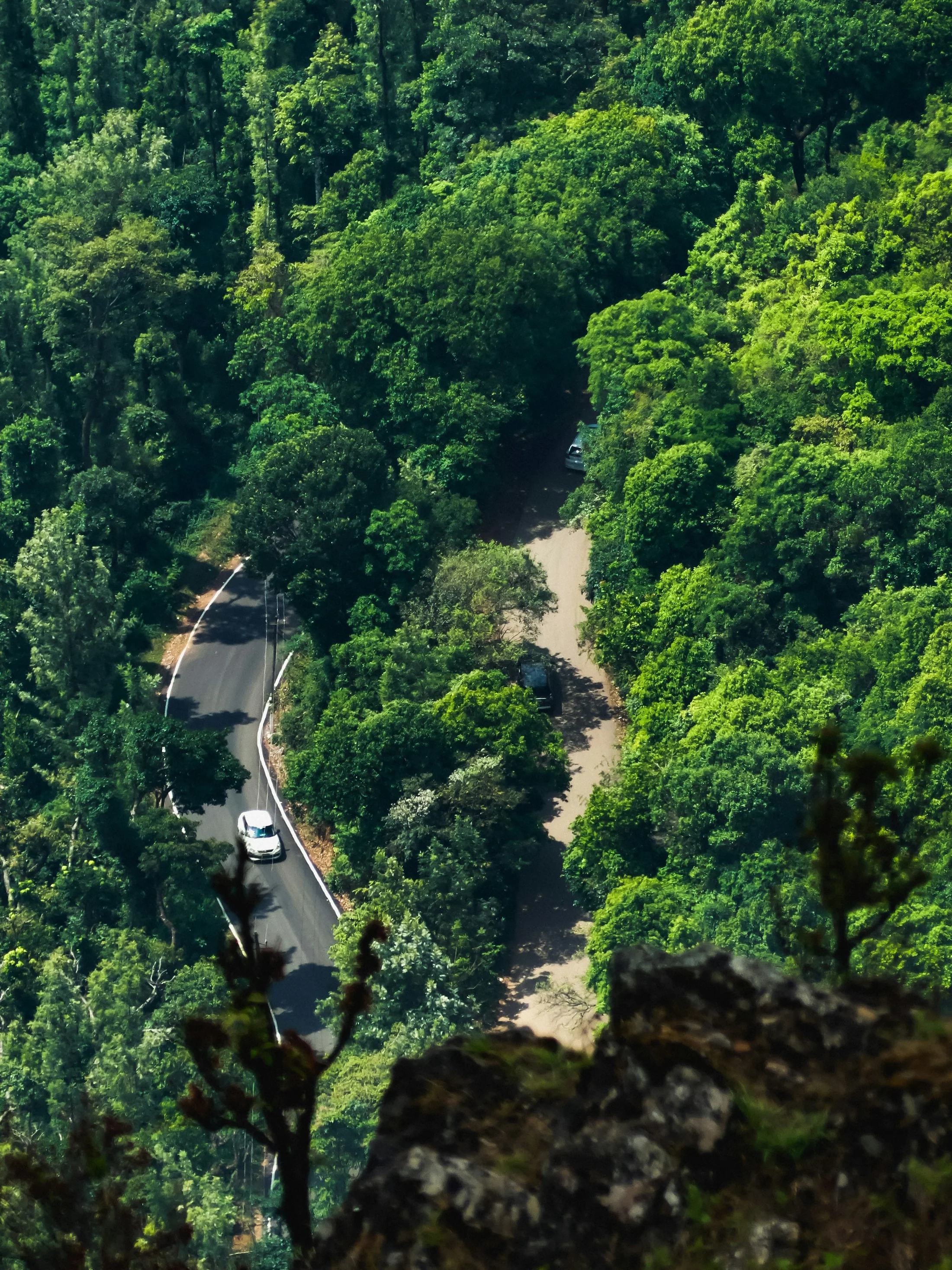 A road winding up through dense forest on the Western Ghats escarpment above Coimbatore