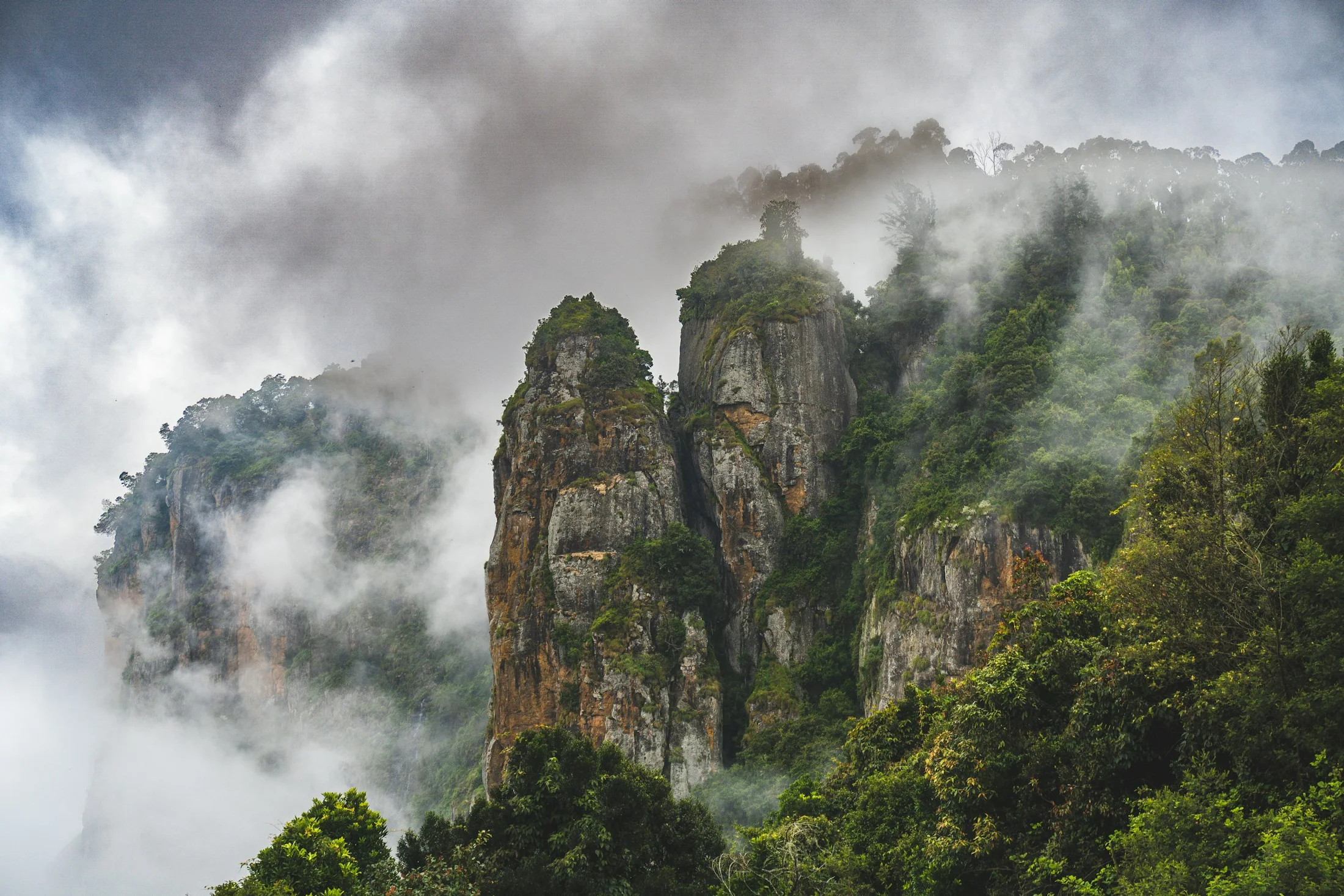 Sheer rock pillars in the hills above Kodaikanal, half-swallowed by moving cloud and dense green forest